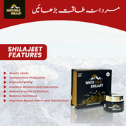 40 GRAM PACK SHILAJIT